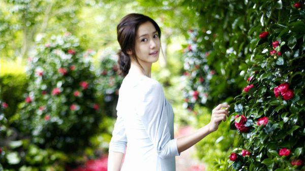 闪婚前妻太难追全文最新章节免费阅读
