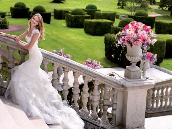 观察玫瑰花的日记作文