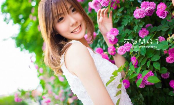 常春藤下聆听花开心情日记