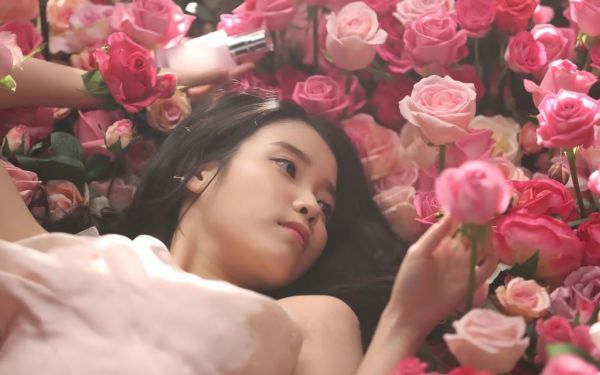 观察蚂蚁日记四篇