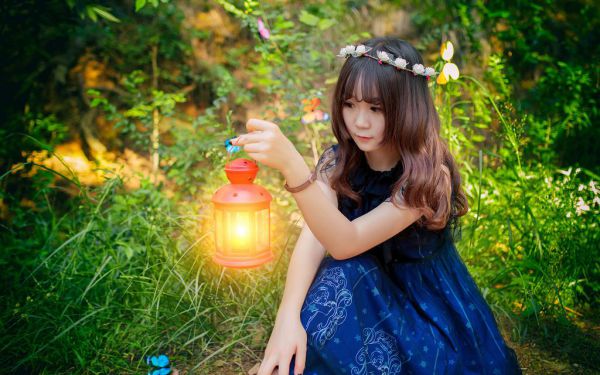 小乌龟观察100字日记