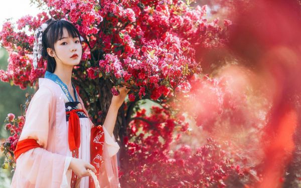 终极之王全文最新章节免费阅读