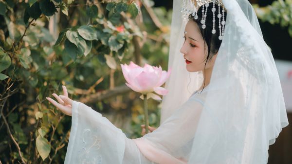 此生若不如初见,不愿同君再携手全文最新章节免费阅读