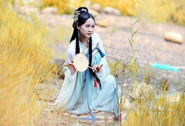 观察小动物日记300字多篇