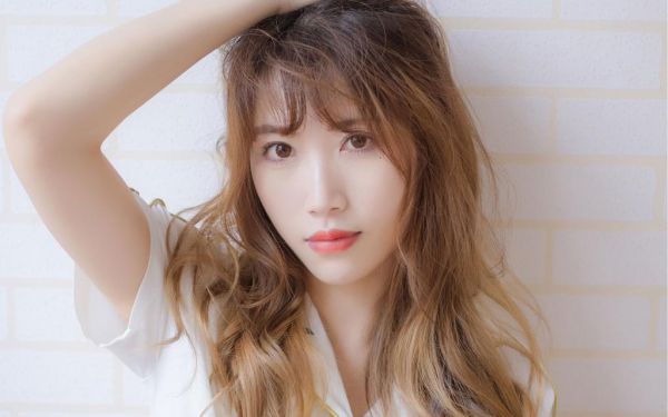 向晴陆久琛全文最新章节免费阅读
