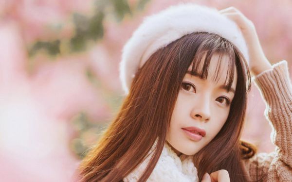 镇世战婿全文最新章节免费阅读