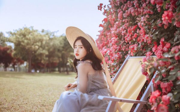 观察日记金钱树作文