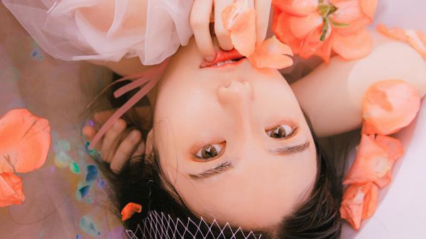 三年级观察吊兰日记
