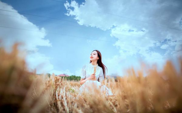 大唐：错把李世民当亲爹全文最新章节免费阅读