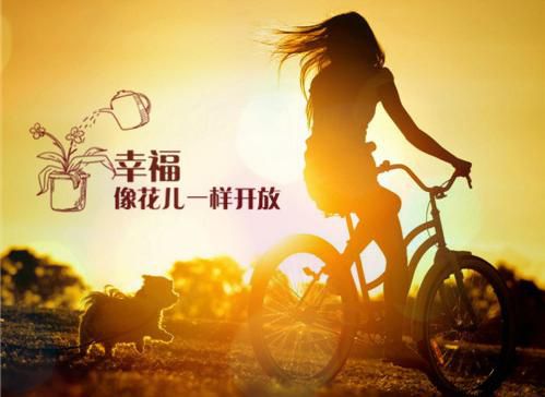 《点金术》读后感寒假日记200字