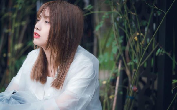 大公鸡的观察日记