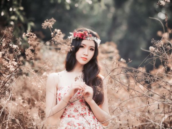 叶牧龙秦婉柔全文最新章节免费阅读