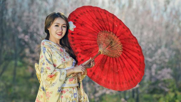 十年桃花故梦成痴全文最新章节免费阅读