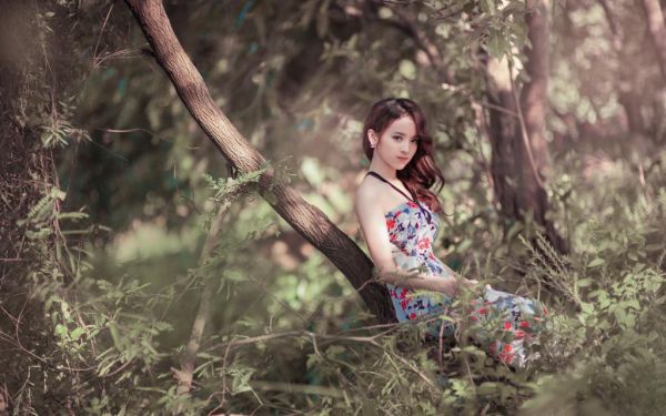 总裁别作!夫人的白月光不是你全文最新章节免费阅读