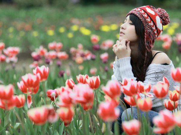 陈昭昭沈心兰全文最新章节免费阅读