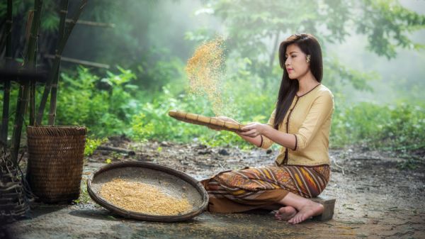 离婚综艺？我和大佬老公顺便虐渣全文最新章节免费阅读