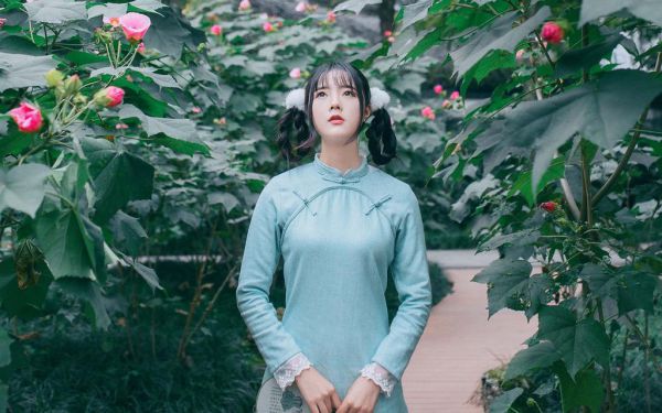 容砚辞曲知遥全文最新章节免费阅读