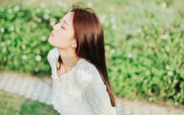 关于黄豆的观察日记4篇