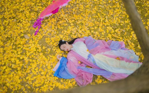 观察日记500字：快乐的元宵节赏花灯