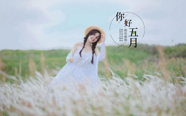 医妃当道：邪王欺上门全文最新章节免费阅读