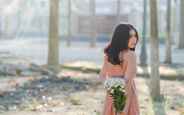 种豆芽观察日记四篇