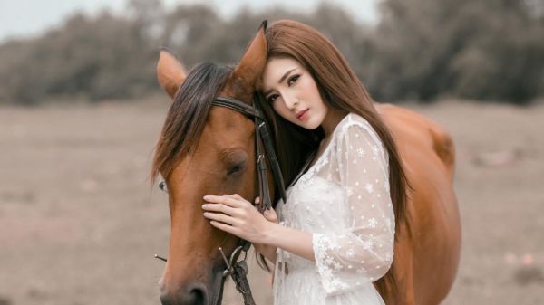 都市小说九重春华章节目录阅读