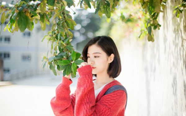 改嫁后，重生夫君后悔了全文最新章节免费阅读