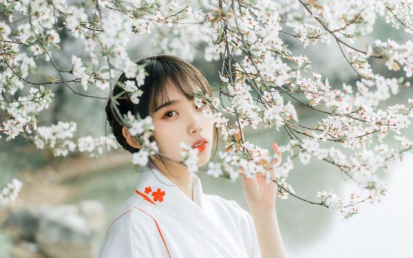 高二周记600字：做槐花饼