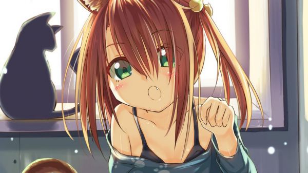 关于小学生观察作文精选