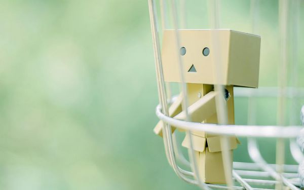 3年级观察日记大全