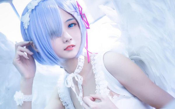 观察植物日记汇编