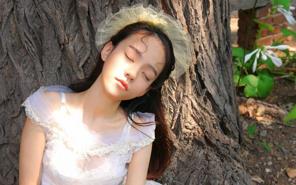 沈浪姜芸全文最新章节免费阅读