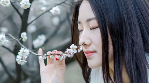 顾之源凌琳全文最新章节免费阅读