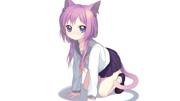 开学第一天工作日记
