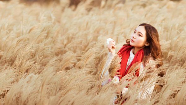 寒假日记大全：今天我刷碗