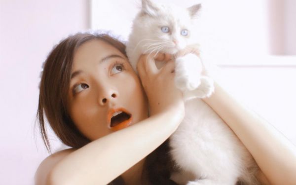 未婚妻抢我项链，我直接退婚全文最新章节免费阅读