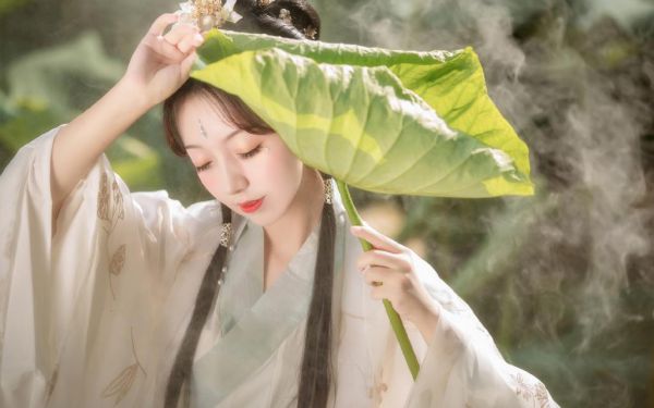 大佬，你夫人马甲又掉了全文最新章节免费阅读