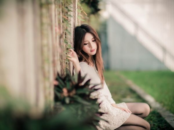 观察动物日记蚂蚁200字