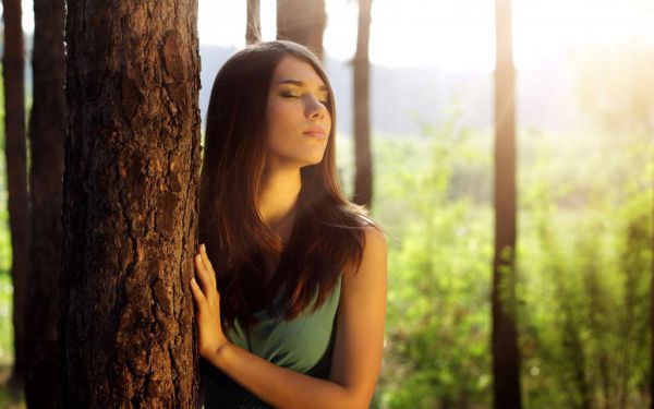 全文小说都市之最强狂医陆晨何娜免费阅读