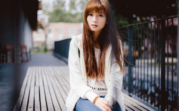 观察日记母鸡下蛋