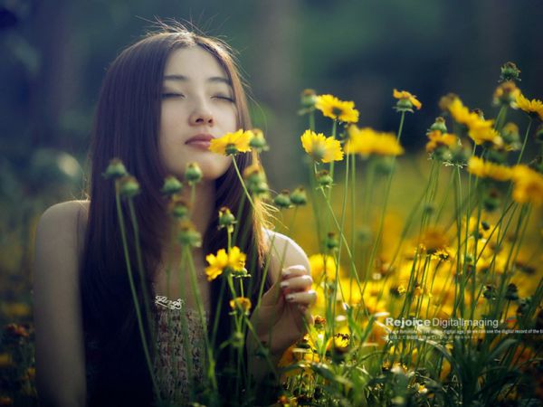 王者荣耀之最强路人王全文最新章节免费阅读