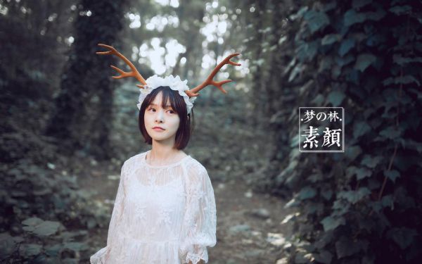 小狗连续观察日记
