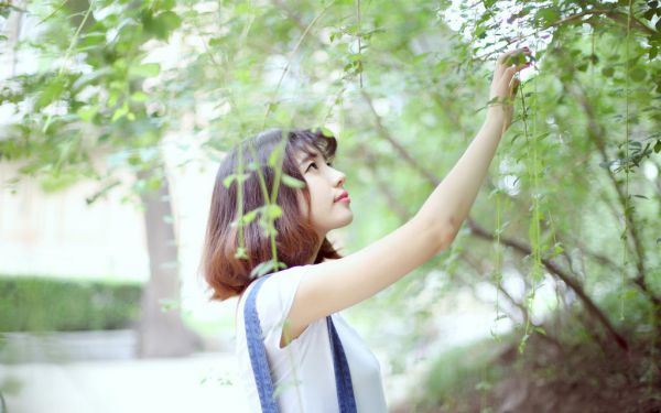 离婚后,清冷影帝悔不当初全文最新章节免费阅读