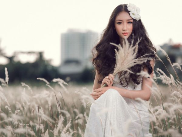六年级数学小日记
