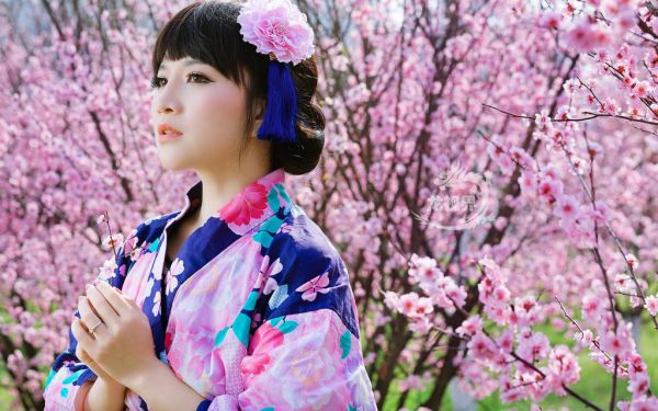 芒果葡萄冰写的小说无明错小说大结局阅读