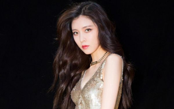 观察泡豆子日记