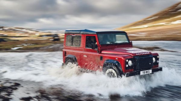 观察小蚂蚁日记范文