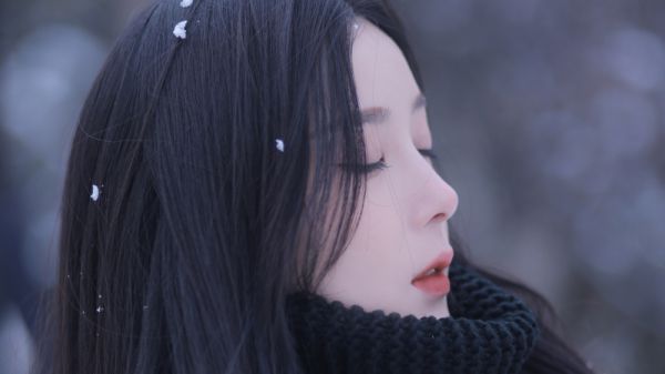 爱情经典的句子大全