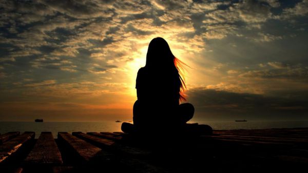 连续观察日记动物400字