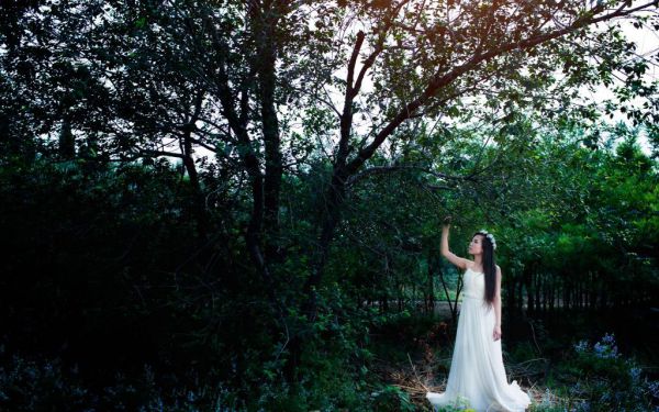 观察植物400字日记